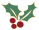 Houx noel copie